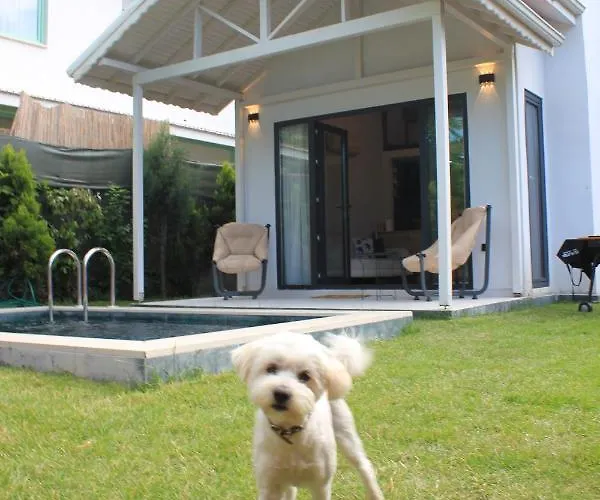 La Barba 4* 사판자